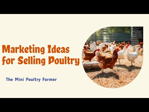 , title : 'Marketing Ideas for Selling Poultry Products Fast'