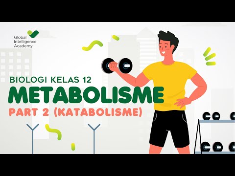 BIOLOGI SMA Kelas 12 - Metabolisme Part 2 (Katabolisme) | GIA Academy