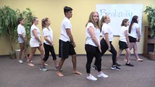 Backseat Driver by tobyMac:  Dance Instruction