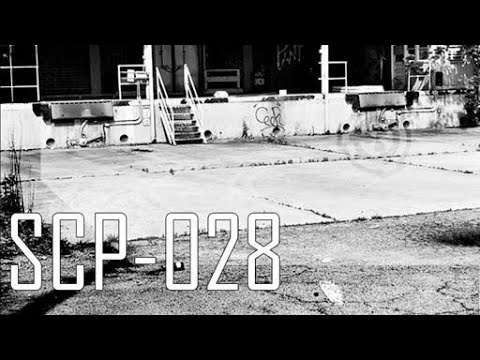 TSN - SCP-028 ( Knowledge)