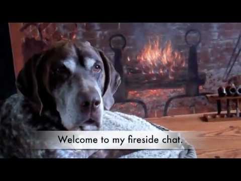Shultz Sfiresidechat 1