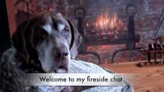 Shultz'sFiresideChat#1
