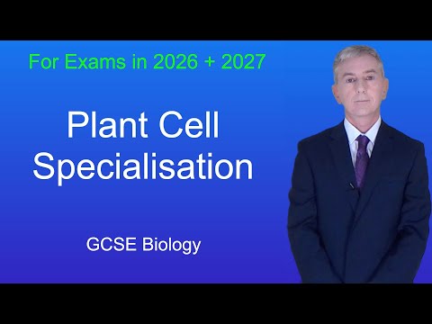 GCSE Biology Revision "Plant Cell Specialisation"