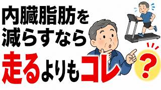 ランニングよりも内臓脂肪を減らす習慣10選｜50代から見直したい意外な習慣