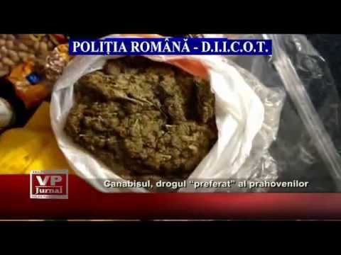 Canabisul, drogul “preferat” al prahovenilor