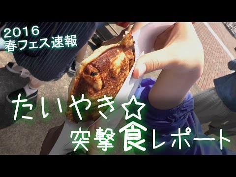 速報！【棚田研究会・たいやき☆突撃 食レポート！】静岡大学 春のビッグフェスティバル2016