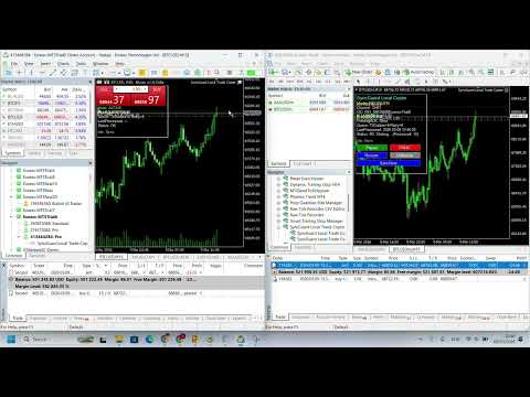 Video SyncGuard Local Trade Copier MT5