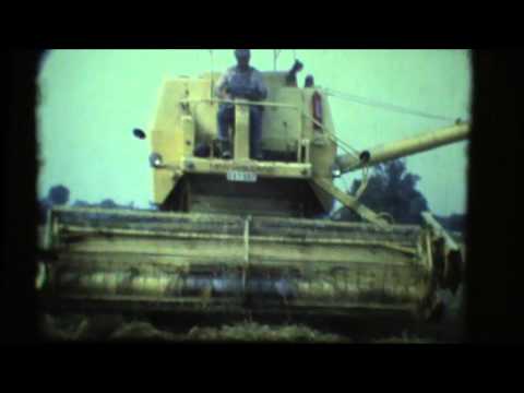 Loonw. Vansteelant - Torhout