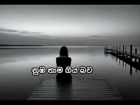 නුඹ තාම ගිය බව | numba thama giya bawa | ( solow + revibe )