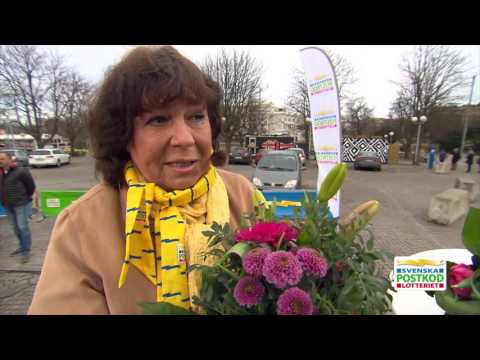 3,3 miljoner till Göteborg