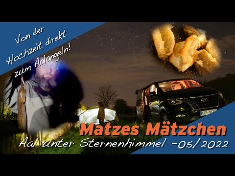Matze Koch: Eel under a starry sky - Matze's antics 05-2022