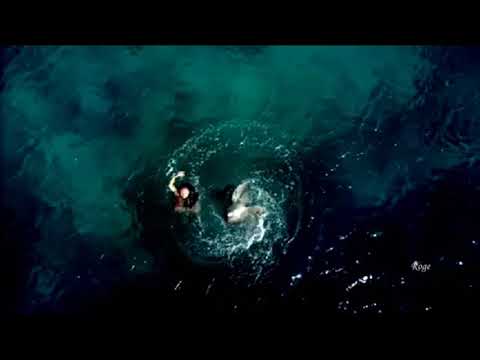 Bluesolar - The Island Awaits You (Chill Out Mix)