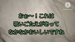 ニコレスベイプを吸ってみた