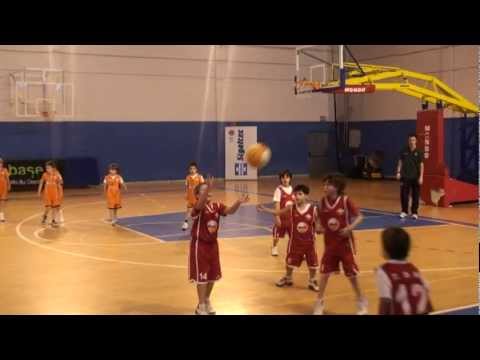 6/6 PREMINI C: Sigaltec BBC C - Reale Thebes Mixto