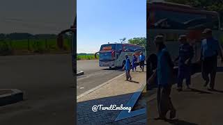 Download lagu Bus Eka Cepat Surabaya - Solo - Yogyakarta - Magelang mp3