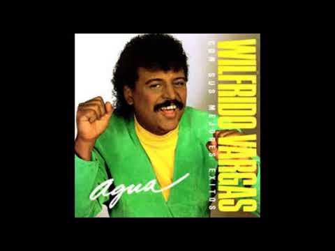 TRECE AÑOS - WILFRIDO VARGAS (FULL AUDIO)