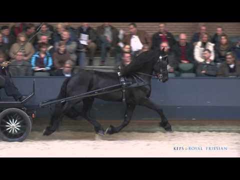 Fonger 478 &#8211; Olgert x Doeke