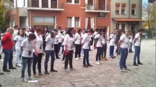preview picture of video 'Flashmob Laura Pausini Solarolo 2012 by Galante'