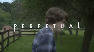 PERPETUAL l Trailer