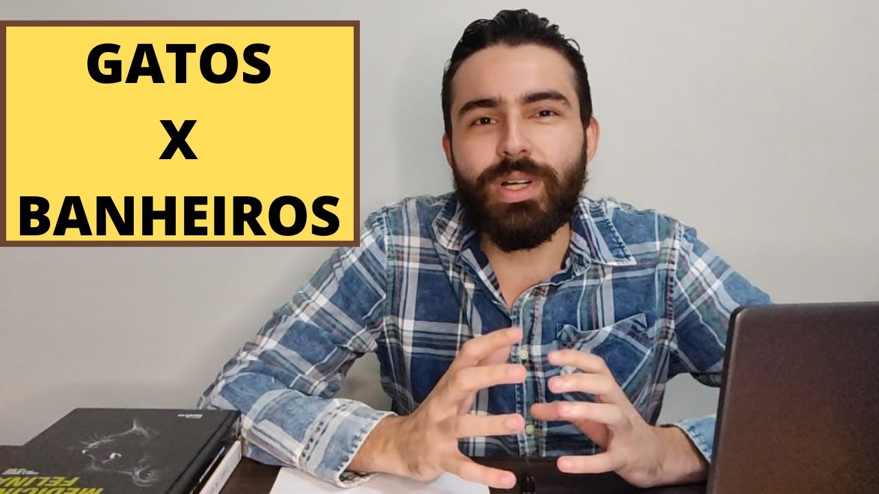 POR QUE OS GATOS NOS SEGUEM ATÉ O BANHEIRO?