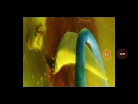 J.B. Eagle Toon Age Dawn Of The Animals Parte(5)