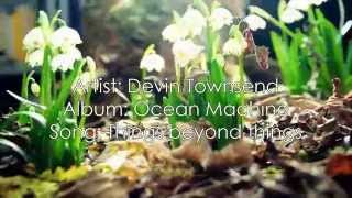 Devin Townsend - Things beyond things [Lyrics + Sub Esp]
