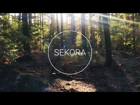 Panuma, TwoWorldsApart & Dan Soleil - Shadows