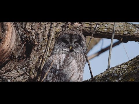 FouKi - Gurl ft. Vince James [Prod. QuietMike]