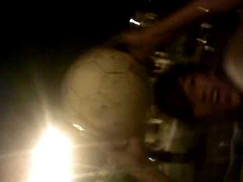 pe pe perros salvajes parte6