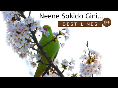 Neene Sakida Gini Best part#lyricslovelife