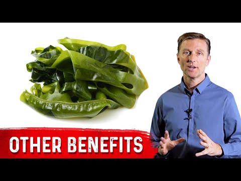 Sea Kelp Beyond the Thyroid