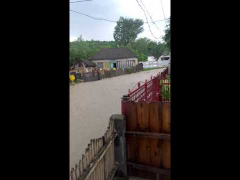 Satul verde a comună racoasa