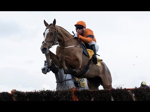 Trainer Jedd O'Keeffe in a Spin over Sam before Grade One JLT Long Walk Hurdle