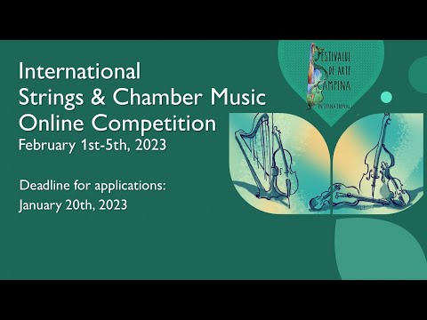 Eva Croitoru Păucă, Violin, Professionals, Group I