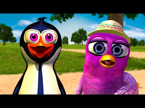 A Gaita Passarinha e Mais Músicas | A Fazenda do Zenon