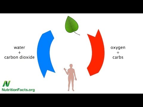 Anti Inflammatory Diet for Depression