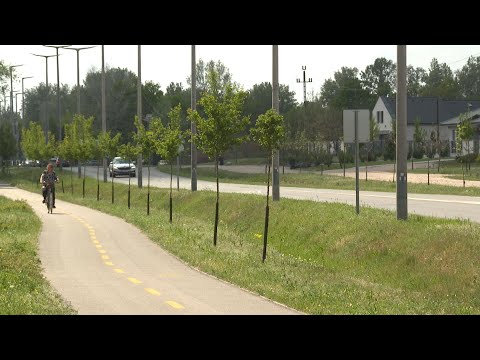 Nincs apelláta: kétirányúsítani kell a Hanuszt