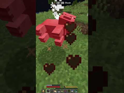 Unbelievable! Pigs Take Over Minecraft! #shorts