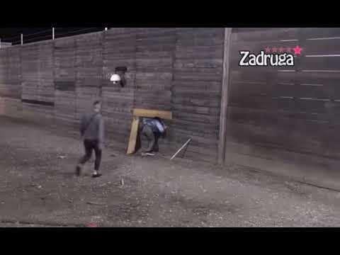 POBEGLA IZ ZADRUGE, PA ZAVRŠILA U HITNOJ?! Evo šta se dešavalo nakon Dalilinog napuštanja rijalitija