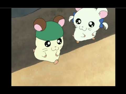 Hamtaro out of context