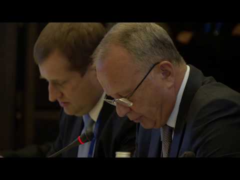 WPC2017 Parallel Workshop 4 - Alexander Dynkin