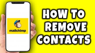 How to Remove Contacts in Mailchimp (2024)