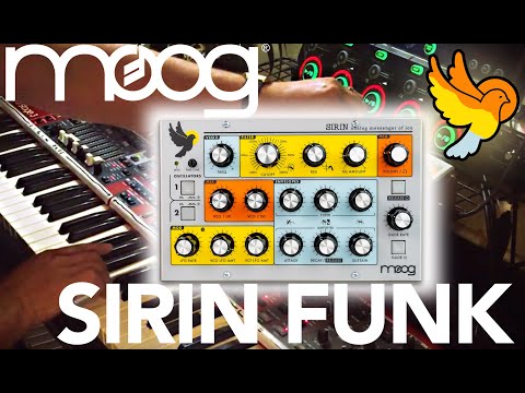 Moog Sirin Synth Funk Demo, performed by Dan "JD73" Goldman