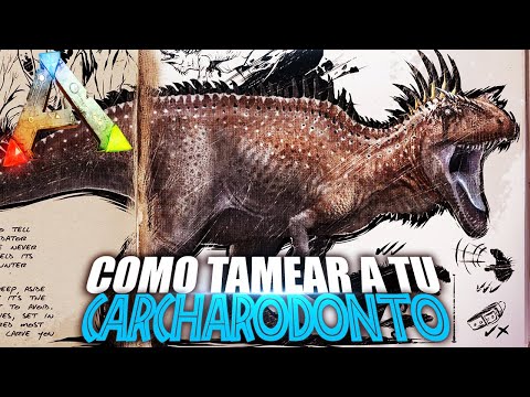 COMO TAMEAR A TU CARCHARODONTOSAURUS | Guia Español | Ark: Survival Evolved