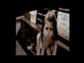 Roger Waters - Vera / Bring The Boys Back Home [HD+HQ] Live 8 4 2011 Gelredome Arnhem Netherlands