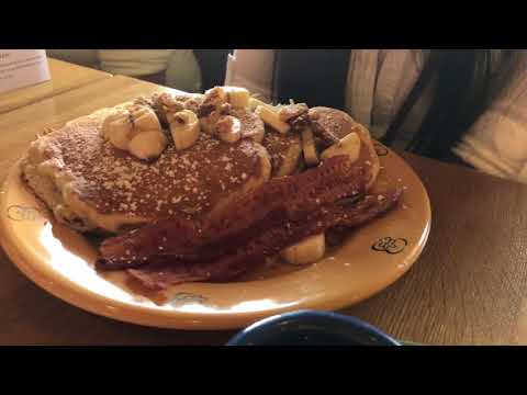 download lagu mp3 mp4 Wildflower Food, download lagu Wildflower Food gratis, unduh video klip Wildflower Food