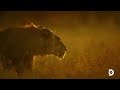 Serengeti Best Track Song