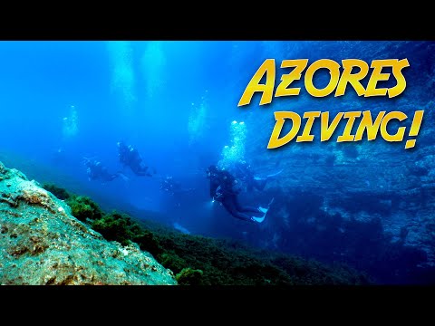 Underwater Adventures in the AZORES!