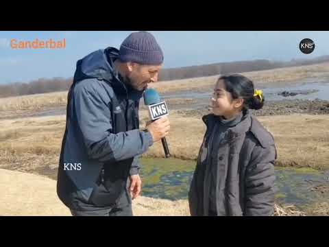 Students and research scholars share their firsthand experiences and insights on migratory birds and wetland conservation at Shalla Bugh Wetland Reserve, during the Asian Waterbird Census, organized by the Wildlife Department Ganderbal, while interacting with #KNS senior correspondent Rahim Rizwan.