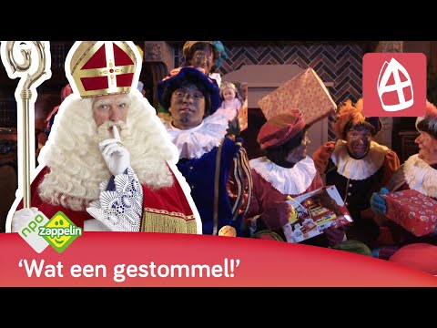 ROMMEL DE BOMMEL | Sinterklaasliedjes | NPO Zappelin